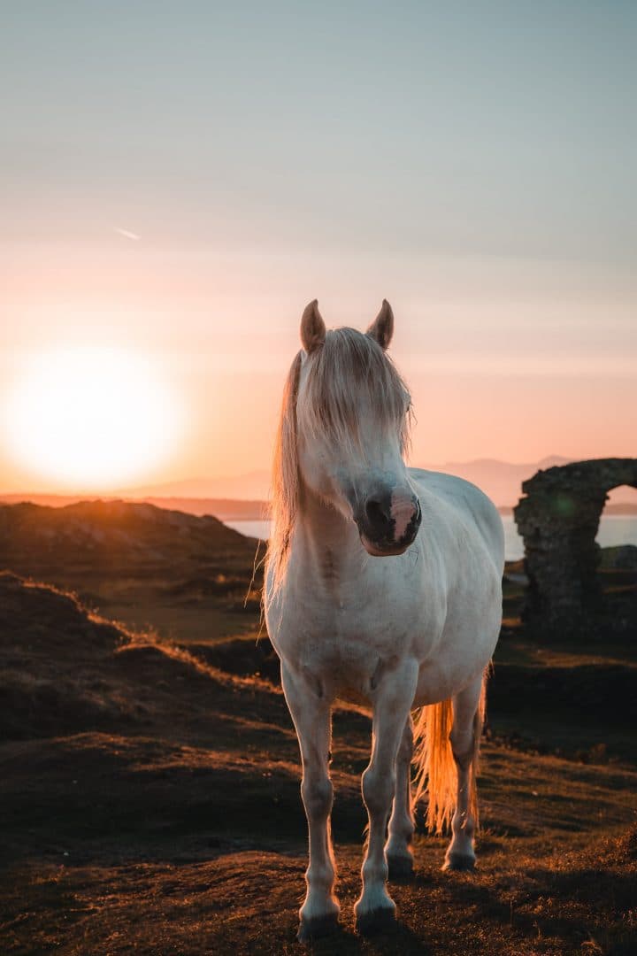 Anglesey, North Wales