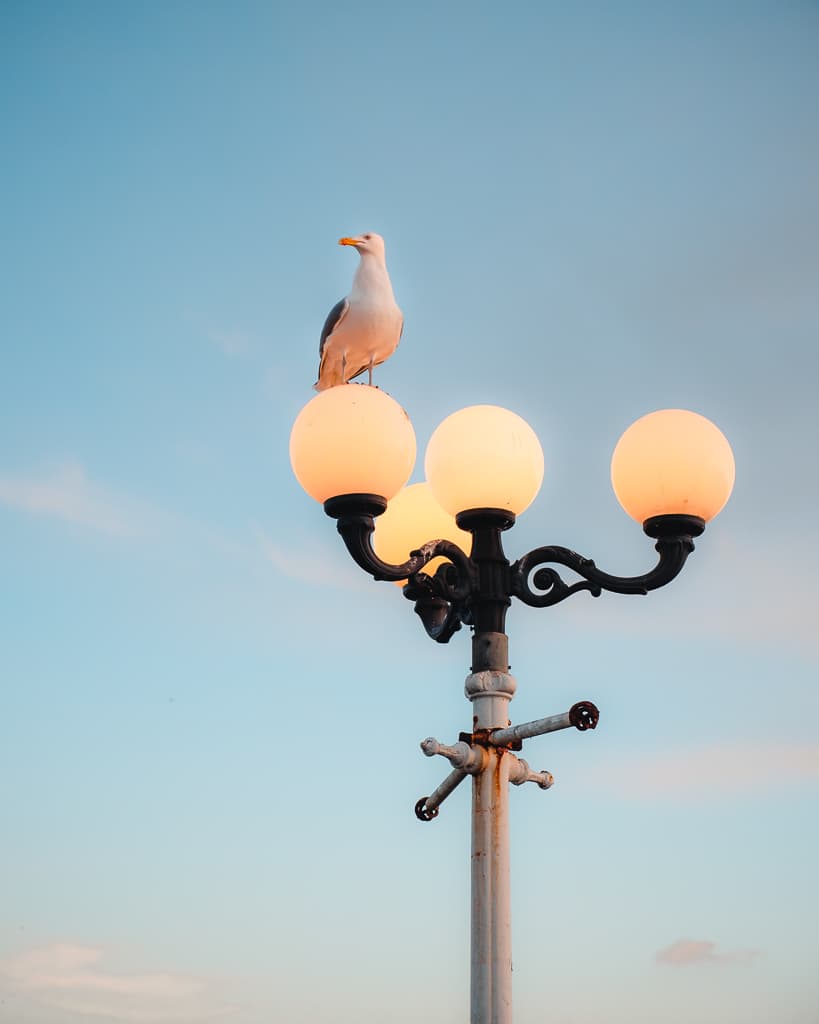 Brighton seafront, golden hour